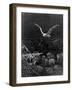 The Albatross Is Shot by the Mariner-Gustave Doré-Framed Giclee Print