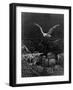 The Albatross Is Shot by the Mariner-Gustave Doré-Framed Giclee Print