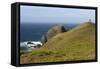 The Albatross Monument at Cape Horn, Isla De Cabo De Hornos, Tierra Del Fuego, Chile, South America-Tony Waltham-Framed Stretched Canvas