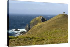The Albatross Monument at Cape Horn, Isla De Cabo De Hornos, Tierra Del Fuego, Chile, South America-Tony Waltham-Stretched Canvas