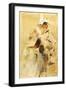 The Album-Tranquillo Cremona-Framed Giclee Print