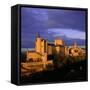 The Alcazar and Cathedral at Sunset, Segovia, Castilla Y Leon, Spain-Ruth Tomlinson-Framed Stretched Canvas