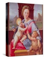 The Aldobrandini Madonna or the Garvagh Madonna, circa 1509-10-Raphael-Stretched Canvas
