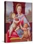 The Aldobrandini Madonna or the Garvagh Madonna, circa 1509-10-Raphael-Stretched Canvas