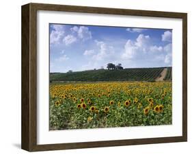 The Alejandro Fernandes Winery, Pesquera de Duero, Spain-Hendrik Holler-Framed Photographic Print