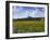 The Alejandro Fernandes Winery, Pesquera de Duero, Spain-Hendrik Holler-Framed Photographic Print