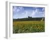 The Alejandro Fernandes Winery, Pesquera de Duero, Spain-Hendrik Holler-Framed Photographic Print