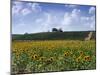 The Alejandro Fernandes Winery, Pesquera de Duero, Spain-Hendrik Holler-Mounted Photographic Print