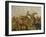 The Alexander Battle, Darius, Probably Done after a Painting by Philoxeilos of Entrea (4th BCE)-null-Framed Giclee Print