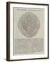 The Alexandra Park Company's Seal-null-Framed Giclee Print