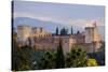 The Alhambra, Granada, Andalucia, Spain-Carlo Morucchio-Stretched Canvas