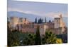 The Alhambra, Granada, Andalucia, Spain-Carlo Morucchio-Mounted Photographic Print