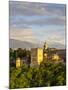 The Alhambra Palace, Granada, Granada Province, Andalucia, Spain-Doug Pearson-Mounted Photographic Print