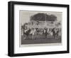 The All Ireland Polo Club Tournament, the Sligo Team, Winners of the County Cup-null-Framed Giclee Print