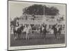 The All Ireland Polo Club Tournament, the Sligo Team, Winners of the County Cup-null-Mounted Giclee Print