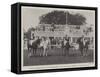 The All Ireland Polo Club Tournament, the Sligo Team, Winners of the County Cup-null-Framed Stretched Canvas