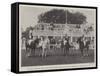 The All Ireland Polo Club Tournament, the Sligo Team, Winners of the County Cup-null-Framed Stretched Canvas