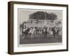 The All Ireland Polo Club Tournament, the Sligo Team, Winners of the County Cup-null-Framed Giclee Print