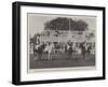 The All Ireland Polo Club Tournament, the Sligo Team, Winners of the County Cup-null-Framed Giclee Print