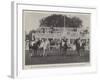 The All Ireland Polo Club Tournament, the Sligo Team, Winners of the County Cup-null-Framed Giclee Print