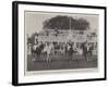 The All Ireland Polo Club Tournament, the Sligo Team, Winners of the County Cup-null-Framed Giclee Print