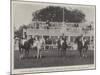 The All Ireland Polo Club Tournament, the Sligo Team, Winners of the County Cup-null-Mounted Giclee Print