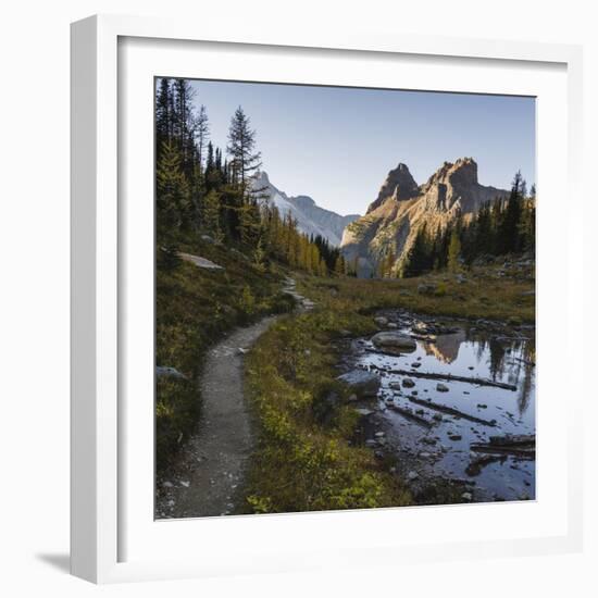 The Alpine Circuit Trail at Lake O'Hara, Yoho National Park, UNESCO World Heritage Site, British Co-JIA HE-Framed Photographic Print