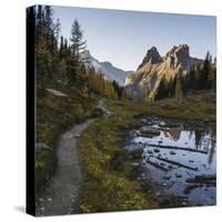 The Alpine Circuit Trail at Lake O'Hara, Yoho National Park, UNESCO World Heritage Site, British Co-JIA HE-Stretched Canvas