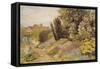 The Alpine Gardens at Tangley Manor-Thomas H. Hunn-Framed Stretched Canvas