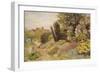 The Alpine Gardens at Tangley Manor-Thomas H. Hunn-Framed Giclee Print