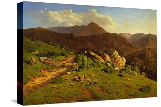 Stretched Canvas Print, , large