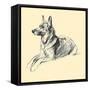 The Alsatian-Lucy Dawson-Framed Stretched Canvas