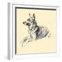 The Alsatian-Lucy Dawson-Framed Art Print