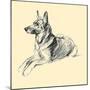 The Alsatian-Lucy Dawson-Mounted Art Print