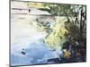 The Alster in High Summer, Hamburg, 2013-Calum McClure-Mounted Giclee Print