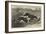 The Altcar Coursing Meeting, Running for the Waterloo Cup-null-Framed Giclee Print