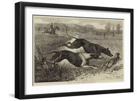 The Altcar Coursing Meeting, Running for the Waterloo Cup-null-Framed Giclee Print