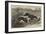 The Altcar Coursing Meeting, Running for the Waterloo Cup-null-Framed Giclee Print