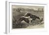 The Altcar Coursing Meeting, Running for the Waterloo Cup-null-Framed Giclee Print