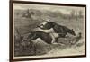 The Altcar Coursing Meeting, Running for the Waterloo Cup-null-Framed Giclee Print