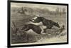 The Altcar Coursing Meeting, Running for the Waterloo Cup-null-Framed Giclee Print