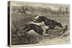 The Altcar Coursing Meeting, Running for the Waterloo Cup-null-Stretched Canvas