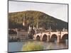 The Alte Brucke (Old Bridge) in Old Town, Heidelberg, Baden-Wurttemberg, Germany, Europe-Michael DeFreitas-Mounted Photographic Print