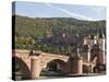 The Alte Brucke or Old Bridge and Neckar River in Old Town, Heidelberg, Germany-Michael DeFreitas-Stretched Canvas