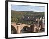 The Alte Brucke or Old Bridge and Neckar River in Old Town, Heidelberg, Germany-Michael DeFreitas-Framed Photographic Print