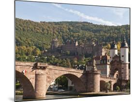 The Alte Brucke or Old Bridge and Neckar River in Old Town, Heidelberg, Germany-Michael DeFreitas-Mounted Photographic Print