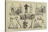 The Amateur Boxing Association Competition at St James's Hall-null-Stretched Canvas