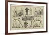 The Amateur Boxing Association Competition at St James's Hall-null-Framed Giclee Print