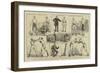 The Amateur Boxing Association Competition at St James's Hall-null-Framed Giclee Print