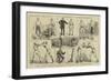 The Amateur Boxing Association Competition at St James's Hall-null-Framed Giclee Print